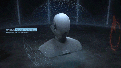 acoustic shield