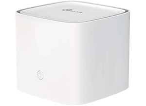 mesh-wifi-300